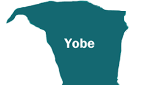 yobe state