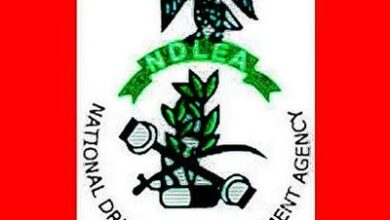 NDLEA logo 4