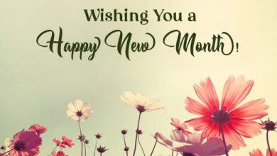 Wishing You a Happy New Month