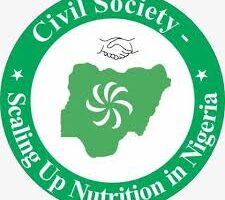 civil society scaling up for nutrition cso