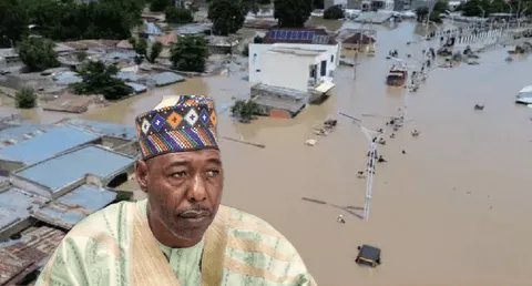 Kementerian dalam misi untuk mengurangi dampak banjir di Maiduguri