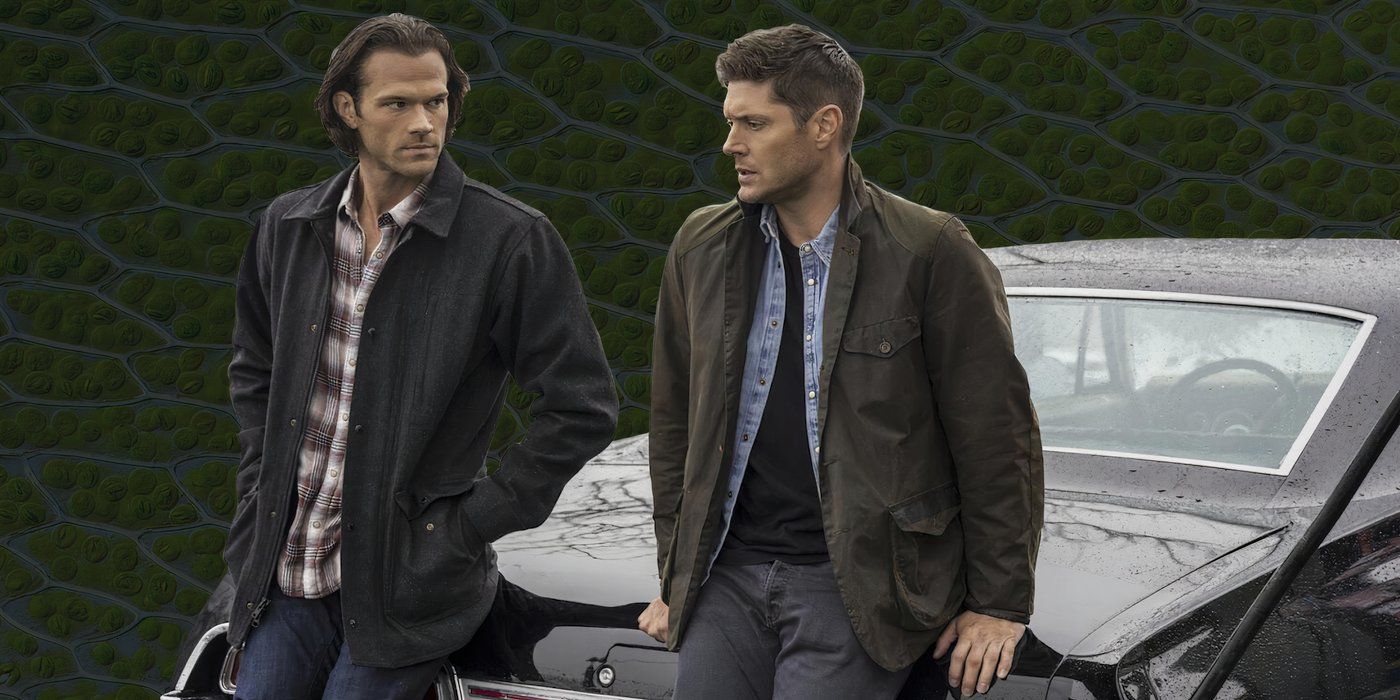 Spin-off Supernatural Menggenapi Nubuatan Impala Tuhan 13 Tahun Setelah Dibuat